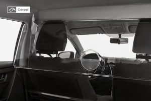 carpol safety screen